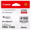 Canon Pro1100 INK